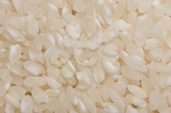 background of white rice. macro