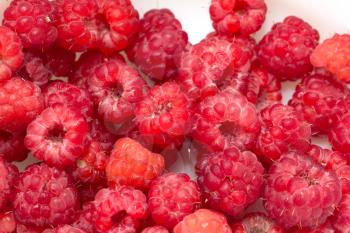 background of ripe raspberries. macro