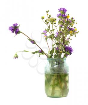flowers in a pot on a white background