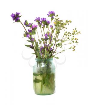 flowers in a pot on a white background