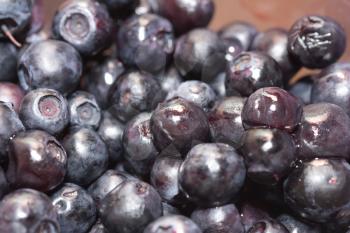 background of blueberries. macro