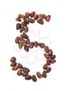 number five of the pine nuts on a white background