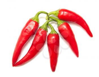 red hot chili peppers isolated on white background