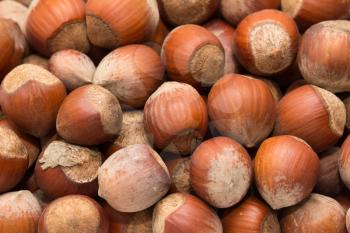 nuts, hazelnuts as background