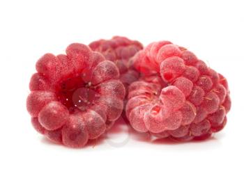 Raspberries on a white background. macro