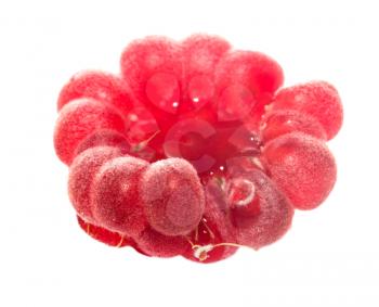 Raspberries on a white background. macro
