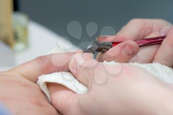 nail polish on the nails in a beauty salon