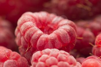 Fresh ripe raspberry as a background