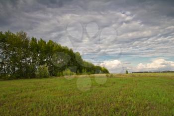 Russian field in nature