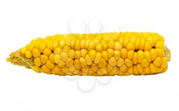 corn on a white background