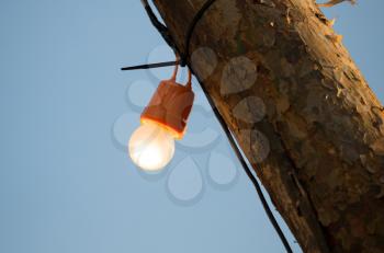 The bulb burns on a wooden pole .