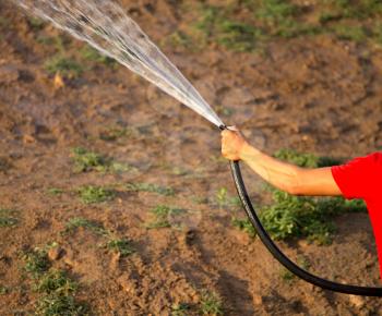 Man watering the lawn with a hose .