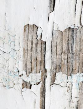 Old wooden background with white chapped paint .