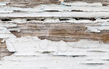 Old wooden background with white chapped paint .
