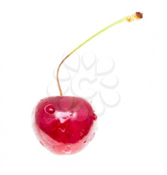 One red cherry on a white background