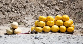 Yellow melons are sold on the road .