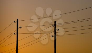Electric wires on yellow sunset as background .