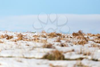 horizon of snow and blue sky