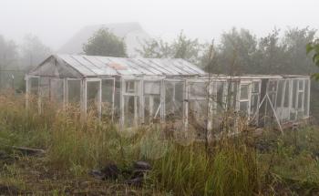 a hothouse in the fog in the morning .
