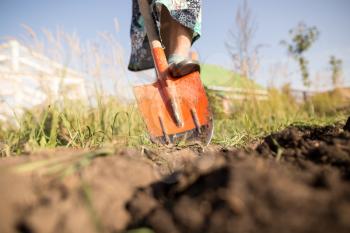 a woman digs a garden with a shovel .