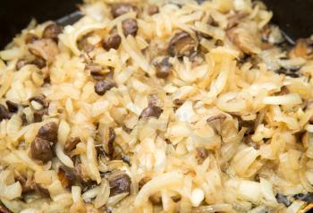 champignon mushrooms and onions are fried in a pan