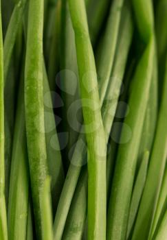 background of green onions. macro