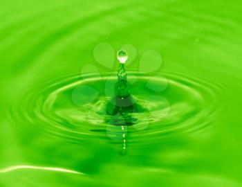 a drop of water falls into the green water