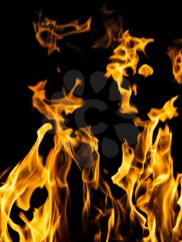 abstract background of fire flames on a black background