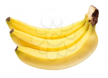 bananas on white background