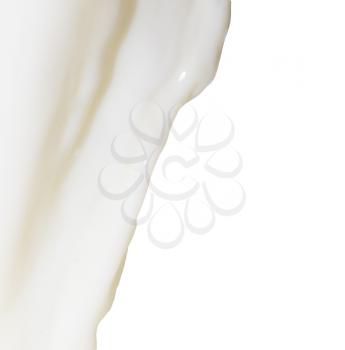milk on a white background
