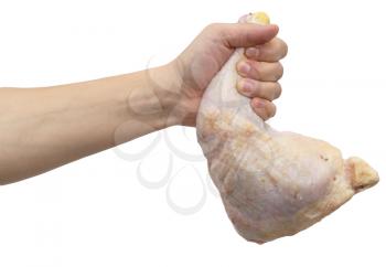 chicken leg in hand on white background