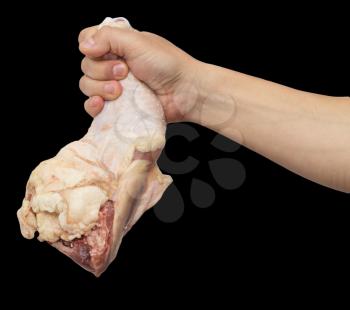 chicken leg in hand on a black background