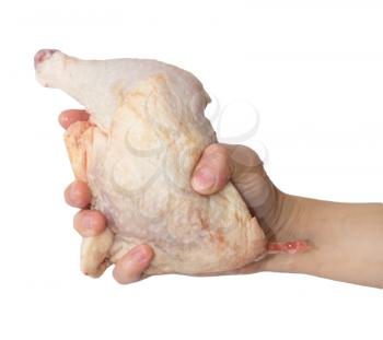 chicken leg in hand on white background