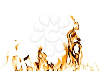 Fire flames on a white background