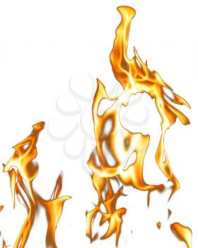 Fire flames on a white background