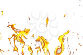 Fire flames on a white background