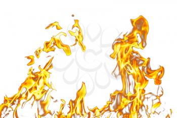 Fire flames on a white background