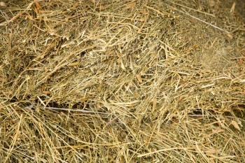 background of hay