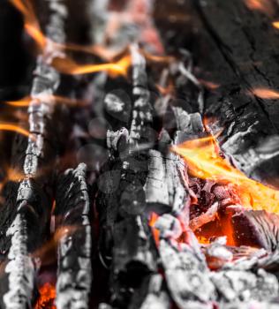 coals as background