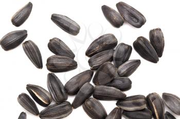 black seeds on a white background