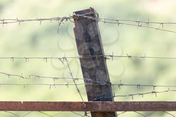 barbed wire fence