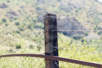 barbed wire fence