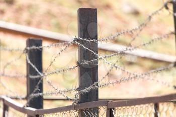 barbed wire fence