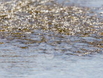 Stones in water Nature