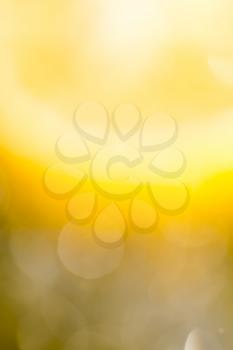 beautiful yellow bokeh