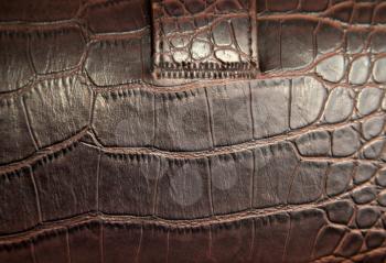 background of  leather. macro