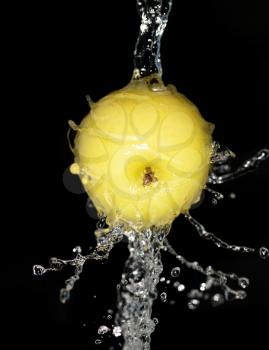 Apple in spray of water on black background