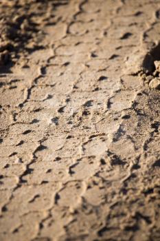 trace of the tire tread