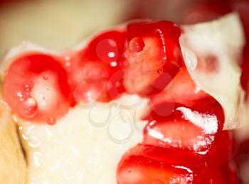 Ripe red pomegranate in water