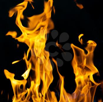 fire flames on a black background